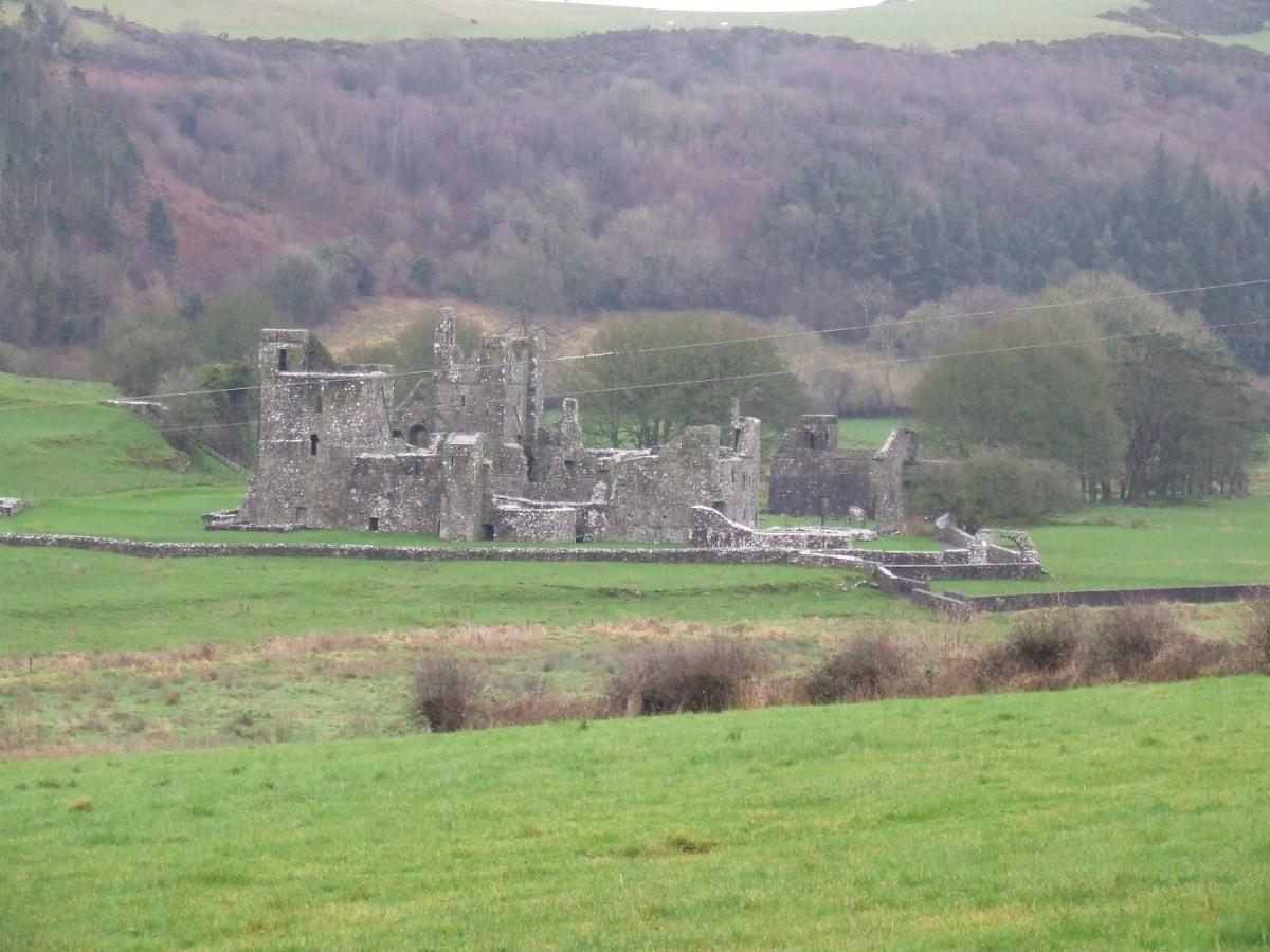 Mullaghmeen Forest Mullingar Exterior foto